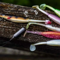 Berkley Fusion Drop Shot Weights